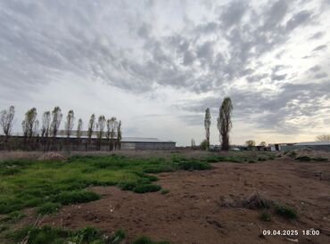 Цеха, заводы, фабрики: Продаю Фабрика, С оборудованием, Действующий, 2000 м² — 8