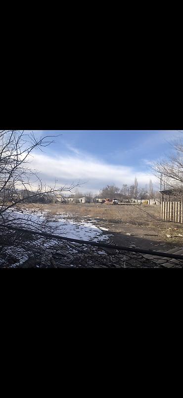 гектаров: 50 соток Для бизнеса, Газ, Электричество, Водопровод — 2