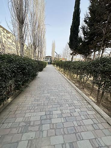 qobuda ev satilir: 3 otaqlı, Yeni tikili, 83 kv. m — 4