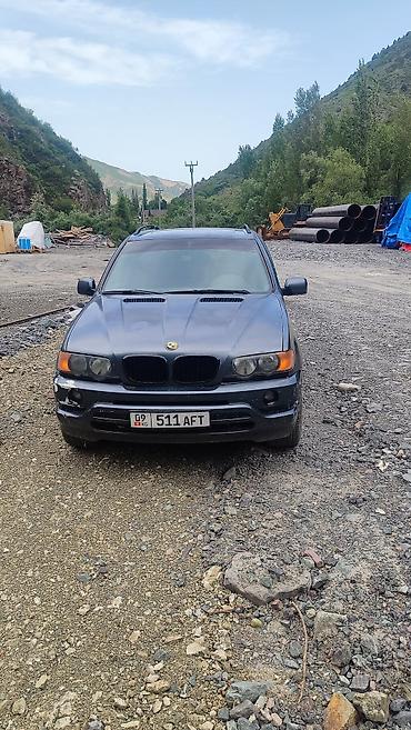 чанган уни к: BMW X5: 2002 г., 4.4 л, Автомат — 1