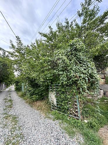 Недвижимость: 5 соток, Красная книга — 1