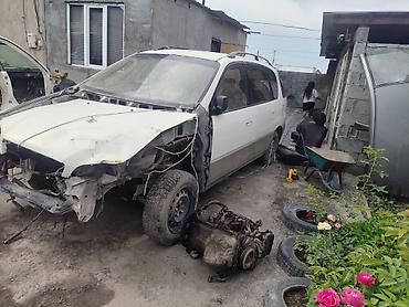транс: Toyota Ipsum — на разбор - Кузов: минивэн 5‑дверный — 3