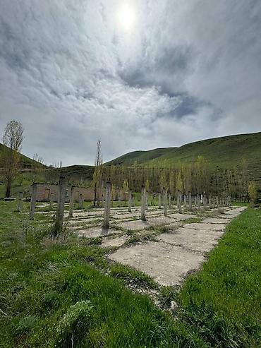 на ферму: Farm КРС, 270 соток, Действующий, Частично с оборудованием, Электричество, Скважина — 9