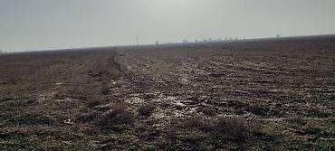 срочные: 2400 соток, Для сельского хозяйства — 4