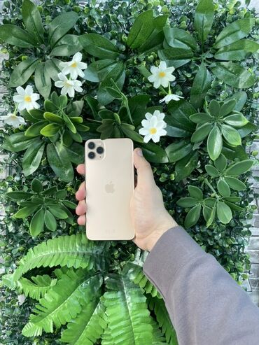 apple 17 pro qiymeti: IPhone 11 Pro Max, Золотой, Face ID