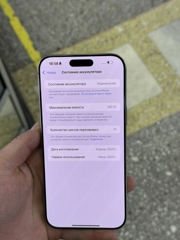 Apple iPhone: IPhone 16 Pro Max, Б/у, 256 ГБ, Natural Titanium, Зарядное устройство, Защитное стекло, Кабель, 100 % — 5