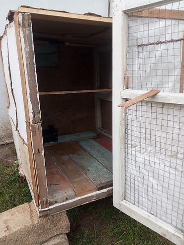 3 toyuq 3 gune: Ev quşları üçün sadə taxta qəfəs/kümes. Xüsusiyyətlər: - Material — 3
