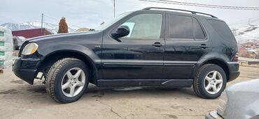 Mercedes-Benz: Mercedes-Benz M-Class: 3.2 l | 2001 il Krossover — 5