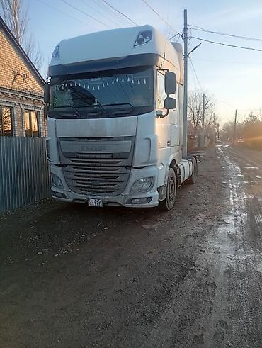 Тягачи: Тягач, DAF, Шторный — 8