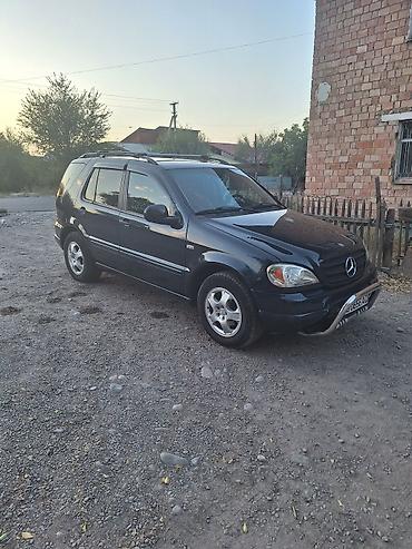 Mercedes-Benz M-Class: 2001 г., 2.7 л, Автомат, Дизель, Кроссовер