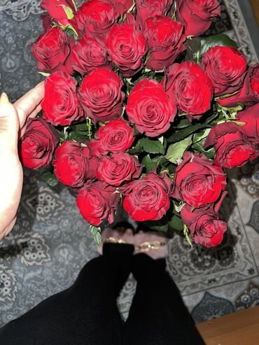 гулдор роза: СРОЧНО!!!🔥🔥🔥
Продаю розы 🌹🌹🌹
70см,25шт 🌹🌹🌹🌹
Кения🌹🌹🌹🌹🌹🌹