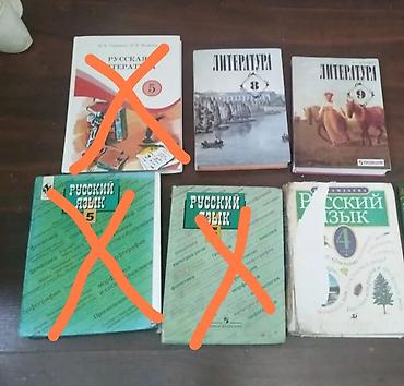 Книги и журналы: Учебники по русскому языку и литературе (разные классы). В наличии на — 1