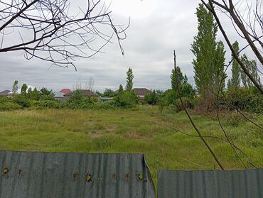 Torpaq sahələrinin satışı: 6 sot, Tikinti, Mülkiyyətçi, Kupça (Çıxarış) — 6