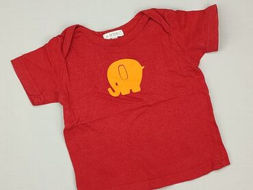 koszula z wzorami: T-shirt, Inextenso, 6-9 months, condition - Perfect