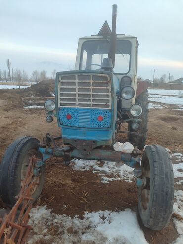 купить трактор мтз 80: Тракторы