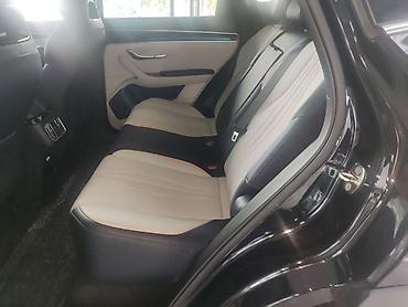 BYD: BYD Song Plus: 2024 г., Электромобиль — 19