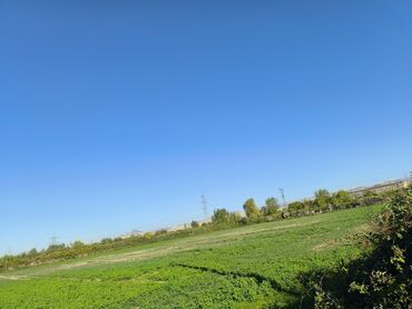 Torpaq sahələrinin satışı: 100 sot, Kənd təsərrüfatı, Kupça (Çıxarış) -da lalafo.az — 5 Torpaq sahələrinin satışı: 100 sot, Kənd təsərrüfatı, Kupça (Çıxarış) — 5