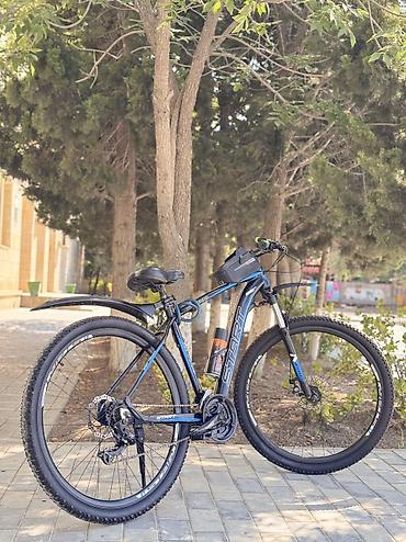 velosiped bazari: Yeni Şəhər velosipedi Start, 29", sürətlərin sayı: 24, Ünvandan götürmə — 6