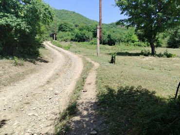 Torpaq sahələrinin satışı: Tikinti — 17