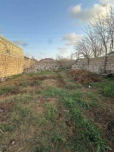 sahe: 2 sot, Tikinti, Barter mümkündür, Bələdiyyə — 2