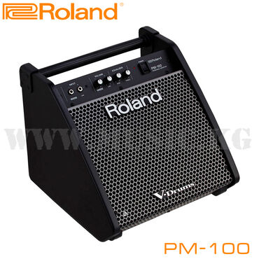 Гитары: Монитор для цифровой ударной установки Roland PM-100 Персональный