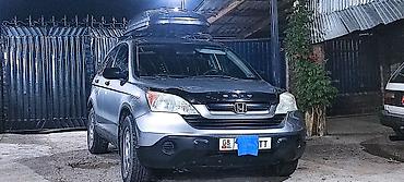 аренда авто джаз: Honda CR-V: 2008 г., 2.4 л, Автомат, Бензин, Кроссовер — 1