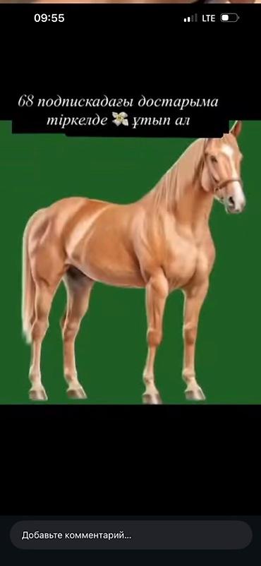 Строительство под ключ: Строительство домов «под ключ» - Проектирование и возведение частных — 5