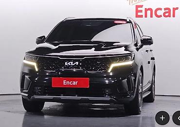 sorento: Kia Sorento: 2022 г. — 3