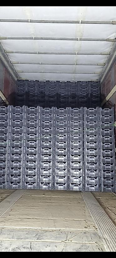 Konteynerlər: Plastik yeşiklər – topdan Məhsulun təsviri: - Material: yüksək — 16