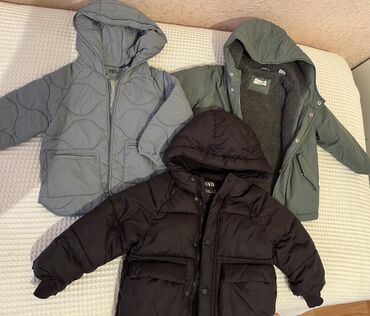 Kurtkalar: Kurtka, Uniseks, 2 - 3 yaş, Zara Kids