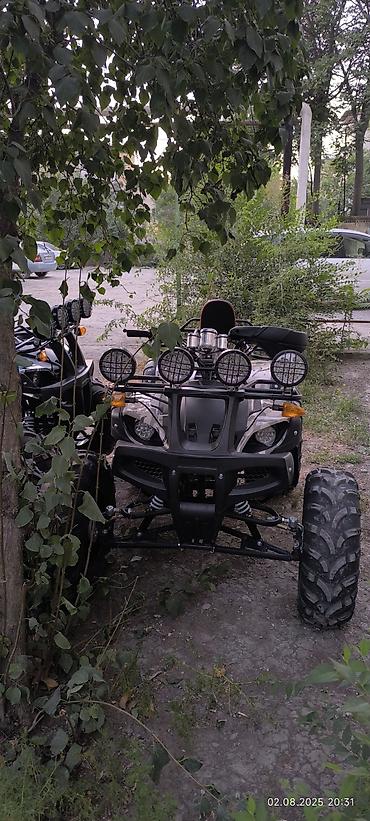 Квадроциклы: Квадроцикл ATV (двухместный), внедорожный. Основные характеристики и — 12