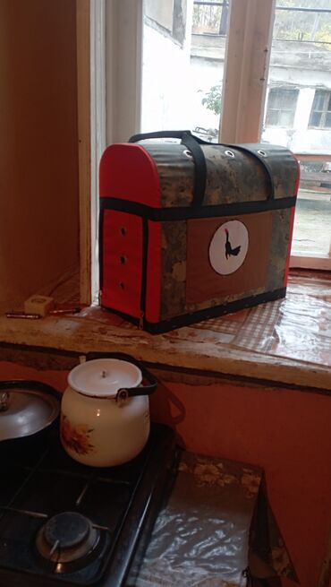 манчкин кот цена бишкек: Türk xoruz çantasi Məhdud sayda var heleki