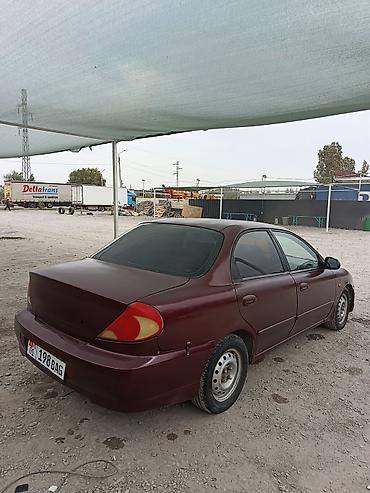 Продажа авто: Kia Spectra: 2008 г., 1.6 л, Механика, Газ, Седан — 5