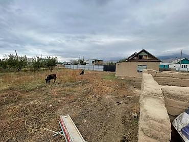 Продажа домов: 3 комнаты, 28 м², 14 соток, Электричество, Холодная вода — 6