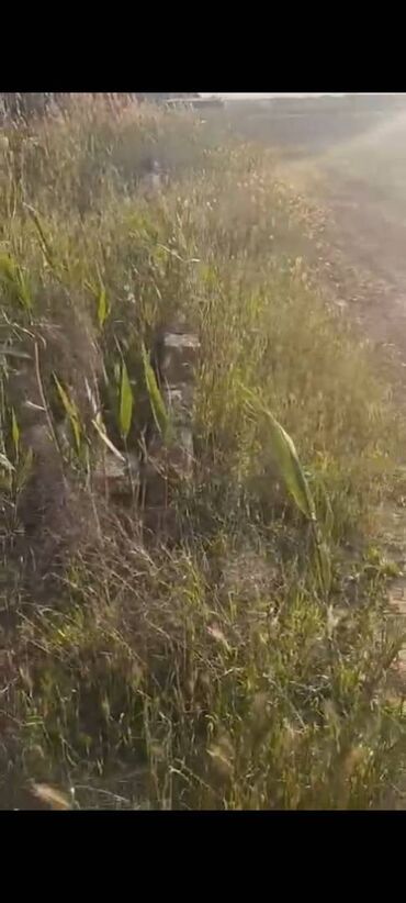 Torpaq sahələrinin satışı: 14 sot, Kənd təsərrüfatı, Mülkiyyətçi, Bələdiyyə — 9