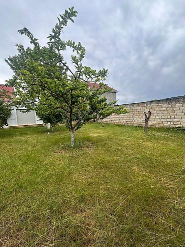 7 mikrorayon: Bakı, 1200 kv. m, 7 otaqlı, Hovuzsuz, Su — 3