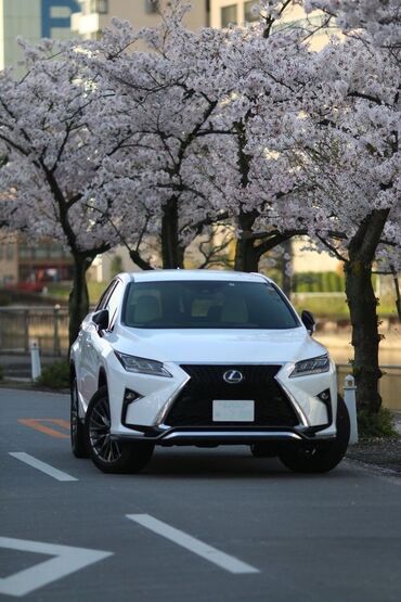 Бамперы и комплектующие: Бампер Передний Lexus