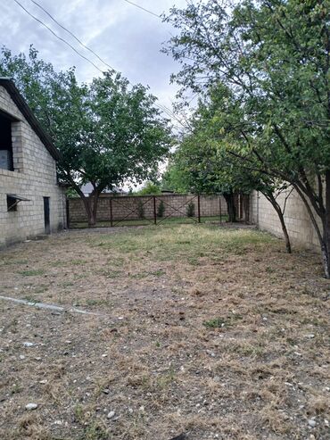 Kənd təsərüfatı heyvanları üçün digər mallar: Salam Arenda veya satmaq Heyvan saxlanılan təsərrüfat/qoyun‑malqar — 5