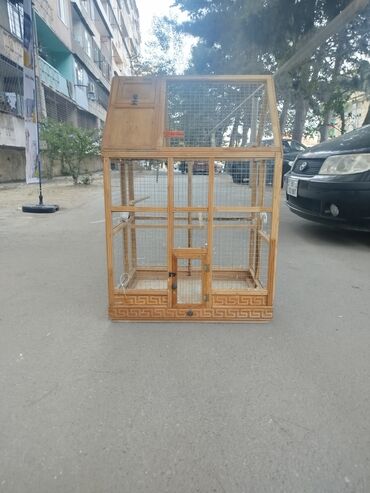 Digər ev dekoru: Təcili olaraq dəyərindən aşağı qiymətə satılır. 1 il əvvəl özüm 250 lalafo.az -da Digər ev dekoru: Təcili olaraq dəyərindən aşağı qiymətə satılır. 1 il əvvəl özüm 250