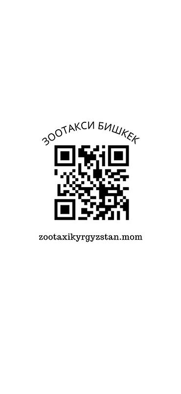 ош эко такси: Требуется Водитель такси - С личным транспортом, 3-5 лет опыта, Техподдержка, Подработка, Старше 23 лет — 3