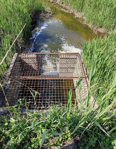 Продажа участков: 600 соток, Для бизнеса, Красная книга — 5