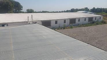 Digər daşınmaz kommersiya əmlakı icarəsi: Toyuq Üçün Ferma İcarəyə Verilir. Salam. 4 Ədəd, Hər Biri 15.000 — 12