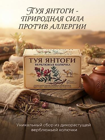 Комнатные растения: Туя Янтоги — натуральный травяной сбор против аллергии. - Состав — 1