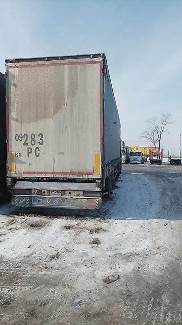 Тягачи: Тягач, DAF, 2006 г., Тентованный — 9