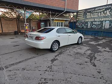 руль виндом: Toyota Windom: 2003 г., 3 л, Автомат, Бензин, Седан — 1
