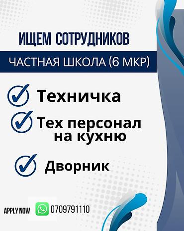 Требуется Уборщик, Школа