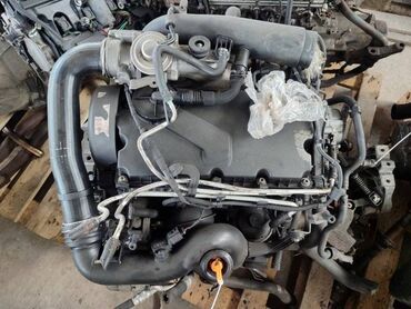 Двигатели, моторы и ГБЦ: Двигатель Volkswagen Golf 5 MK5 1.9 ТДИ BXE 2005 (б/у)
