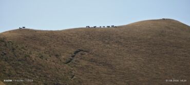 Продажа домов: Дом, 90 м², 4 комнаты — 22