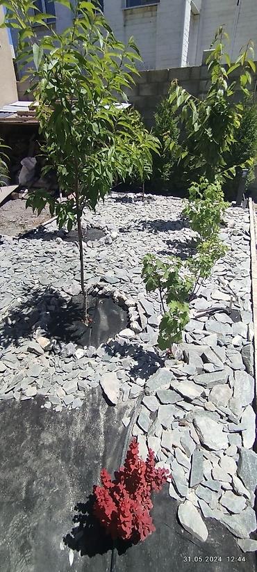 Дизайн, проектирование: Дизайн | Дома — 20