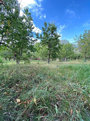 Продажа коттеджей и домов: Прекрасное предложение для тех кто хотел свой бизнес продается — 5